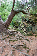 Naturdenkmal Katzensteine