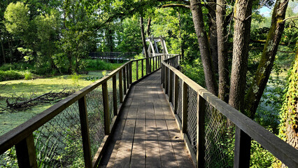 Long wooden boardwalk with mesh railings winds through a dense, sunlit wetland forest of tall trees and thick undergrowth, offering a tranquil path for nature walks and wildlife observation