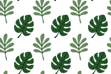Seamless pattern with monstera and philodendron tropical leaves on white. Great for exotic print design, packaging, and surface decor © vicktoriabbk