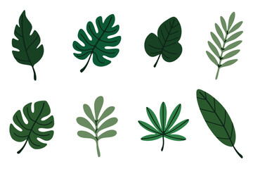 Minimalist collection of tropical plant leaves. Suitable for eco design, botanical decor, posters and branding