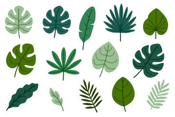 Fototapeta premium Exotic tropical leaves collection with soft green tones and elegant botanical details. Perfect for nature graphics and interior decoration