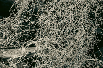 Photo of a residential security fence