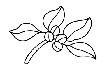 Coffee plant branch continuous line art illustration