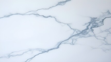 Crisp glacier white marble etched with steel-blue and graphite veins in fractal formations