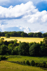 Walk outside of Oughtibridge, South Yorkshire, June 2025 