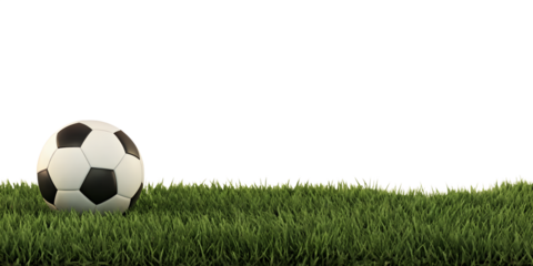 soccer ball on green grass 3d-illustration