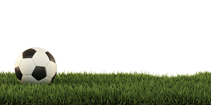Fototapeta soccer ball on green grass 3d-illustration