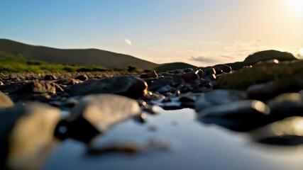 Translucent sea shell on a sandy beach with sparkling water reflecting golden sunset light, serene coastal scene, beach find - Powered by Adobe