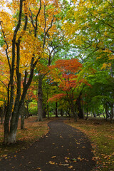 Naklejka premium 日本の風景・秋 北海道函館市 旧岩船氏庭園（香雪園）