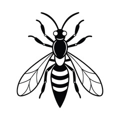 Full body wasp vector illustration on white background