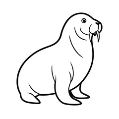 Full body walrus vector illustration on white background