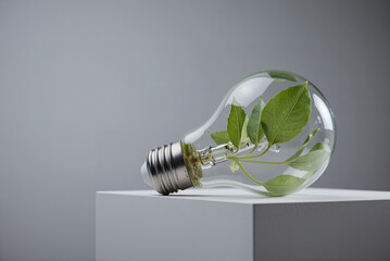 Glass light bulb with green leaves resting on a white pedestal  