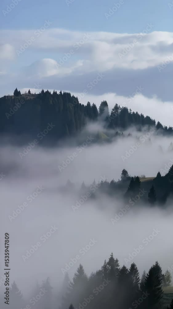 Poster hazy mountain forest landscape with fog and clouds obscuring hillsides with evergreen trees at high 