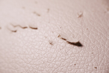 Bed frame been scratched by the cat