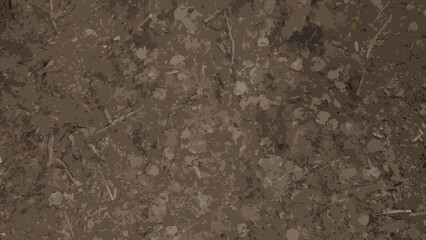 Forest floor