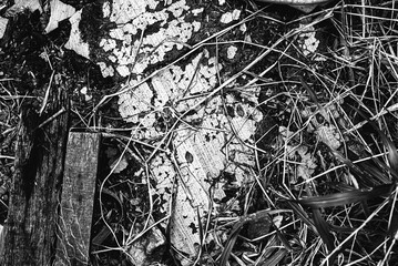 Photo of ground texture pattern