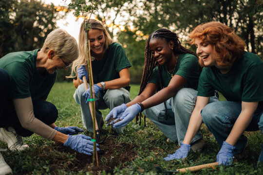 Group of volunteers planting trees in the park