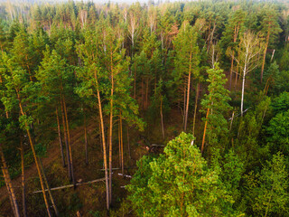 river in the forest