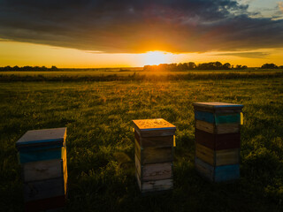 beehive