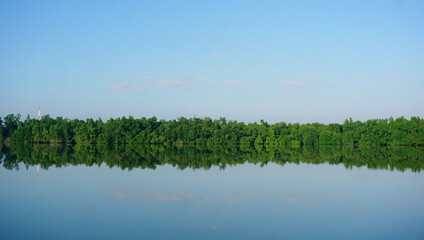 reflection of trees in the water