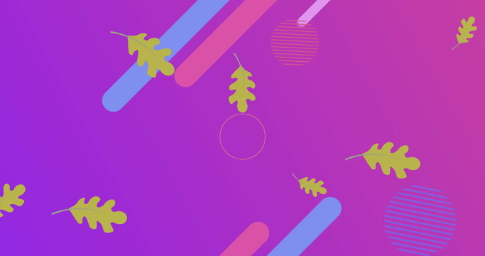 Floating stylized oak leaves and geometric shapes on gradient canvas, with modern graphic layout