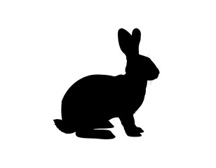 Obraz premium Silhouette of a seated rabbit (1)