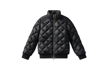 Puffer Jacket Icon - 1