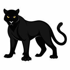 Panther on white background