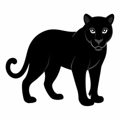 Panther on white background