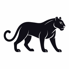 Panther on white background