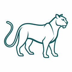 Panther on white background