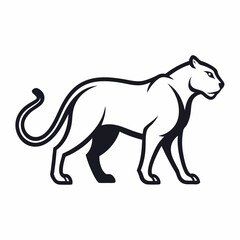 Panther on white background