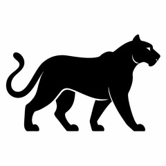 Fototapeta premium Panther on white background