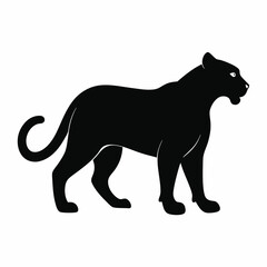 Obraz premium Panther on white background