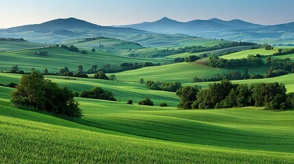 Fototapeta premium Lush green hills and valleys under a clear sky.