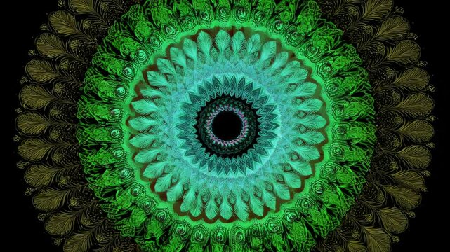 Complex Circular Symmetric Element on Dark Background with Feather Like Design