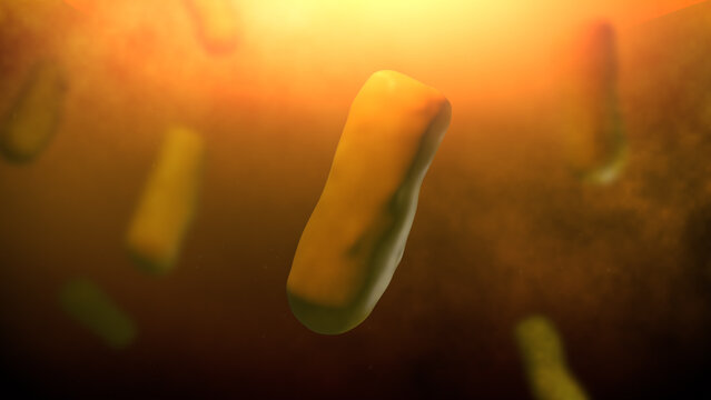 Bacteria of Bordetella pertussis or Whooping Cough

No AI was used in the making of this content. Content rendered in Blender and After Effects.
