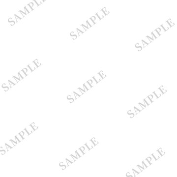 Diagonal Sample Watermark