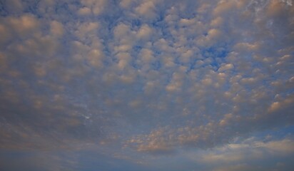 Morning sky, with white clouds that are still yellowing when hit by sunlight, with a beautiful cloud texture like cotton, suitable for your sky background.