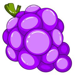 vector illustration of a bunch of grapes