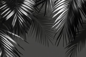 Shadow overlay of tropical coconut palm leaves on transparent