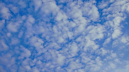 beautiful blue sky with white clouds that clump like cotton