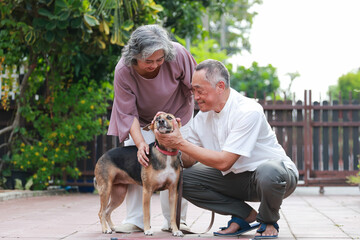 An elderly Asian couple keeps a dog at home. They put their arms around the dog and talk to him in a gentle voice. Pet concept.