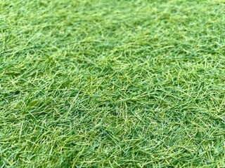 green grass background, green grass carpet