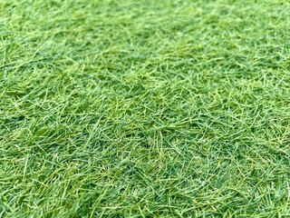 green grass background, green grass carpet 