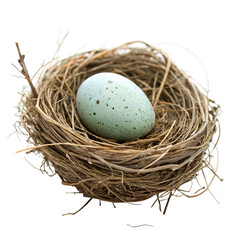 Obraz premium Bird Egg in a Nest isolated PNG transparent background