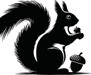 Silhouette of a squirrel sitting and holding an acorn, autumn theme, isolated vector on white background