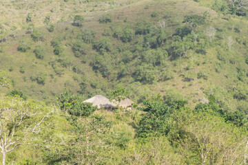 East sumba, Indonesia – 06. 15. 2025 – The traditional houses of the East Sumba people have...