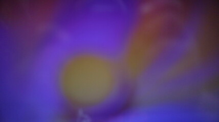 Abstract purple blur light wave background with soft gradient effect