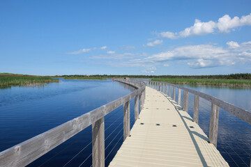 Naklejka premium Wooden walkway on the lake in prince edward island Canada.